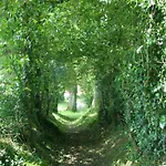 Domaine Les Teuilleres 3* Lacam-dʼOurcet