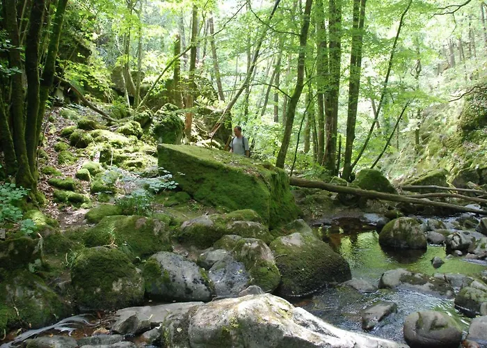 Domaine Les Teuilleres Bed & Breakfast 3*