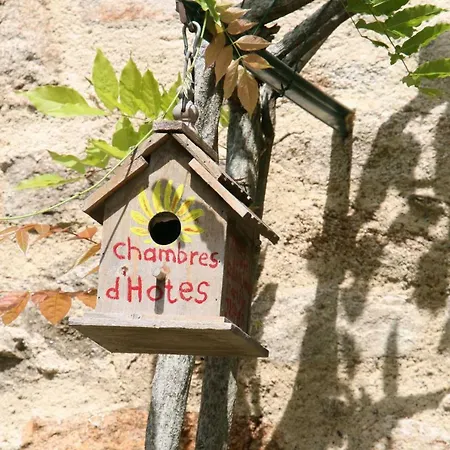 Domaine Les Teuillères Couette-café Lacam-dʼOurcet