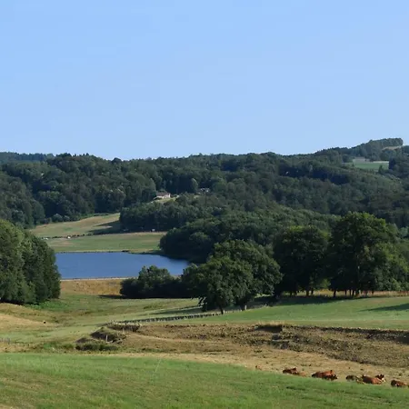 Bed & Breakfast Domaine Les Teuilleres Lacam-d'Ourcet