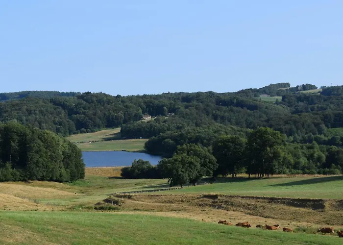 Bed & Breakfast Domaine Les Teuillères Lacam-dʼOurcet