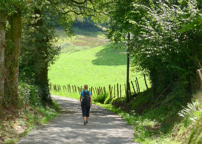 Bed & Breakfast Domaine Les Teuillères