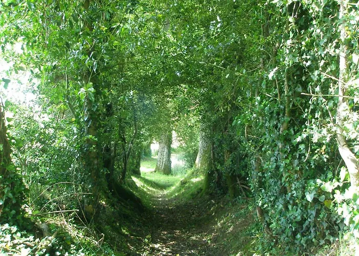 Domaine Les Teuillères 3* Lacam-dʼOurcet