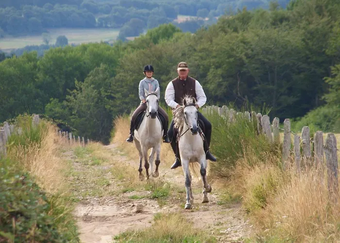 Bed & Breakfast Domaine Les Teuillères Lacam-dʼOurcet