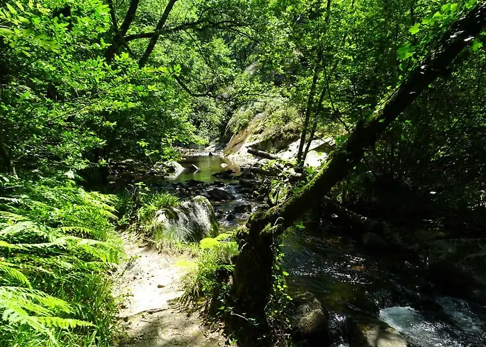 Domaine Les Teuillères 3* Lacam-dʼOurcet